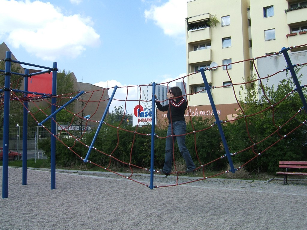 Inverted wall climber