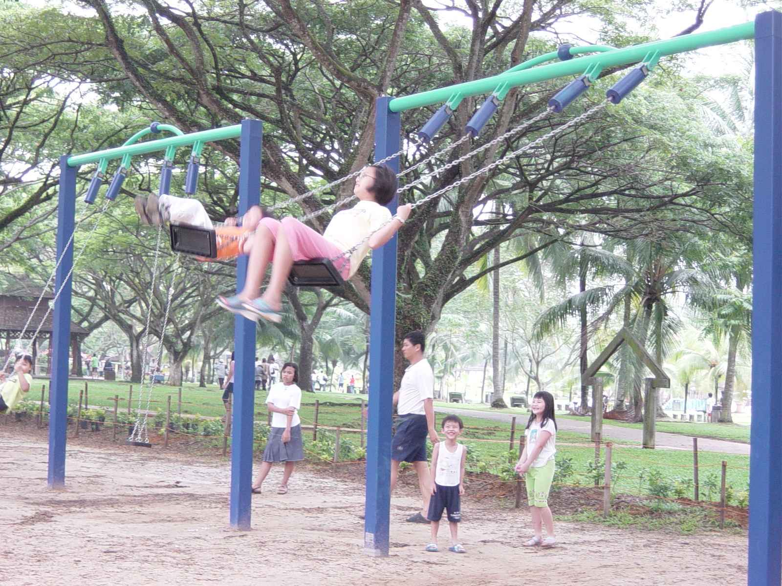 Swinging (and bouncing) Seagull