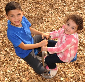 Double Seater Slide #. 1