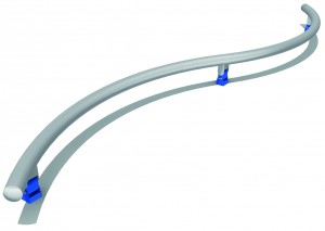 Earthworm Slide #. 0