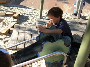 Alexander Kemp Playground, Cambridge Common, MA Slide #. 5