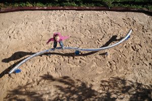 Earthworm Slide #. 2