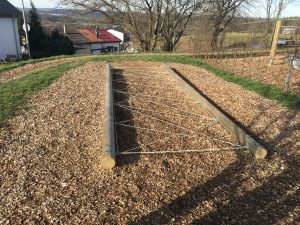 Spiders’ Net Slide #. 1