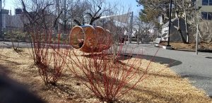 Crawl Tunnel Slide #. 1