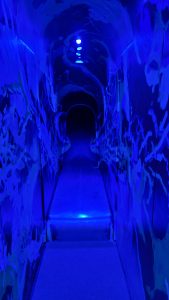 Meow Wolf Area 15 Slide #. 3