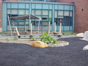 Robinia Benches Slide #. 3