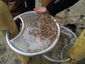 Sieve Tower Slide #. 1